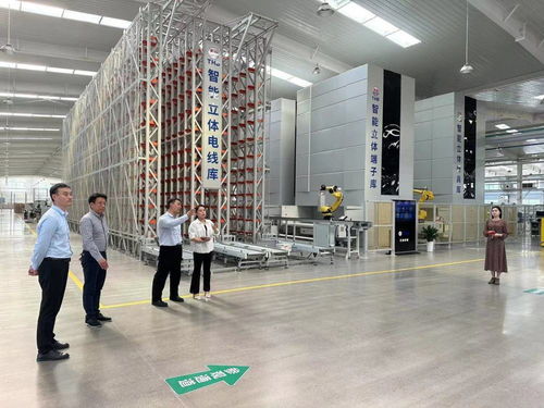 鹤壁经济技术开发区开展“一起益企”中小企业信息技术咨询服务活动