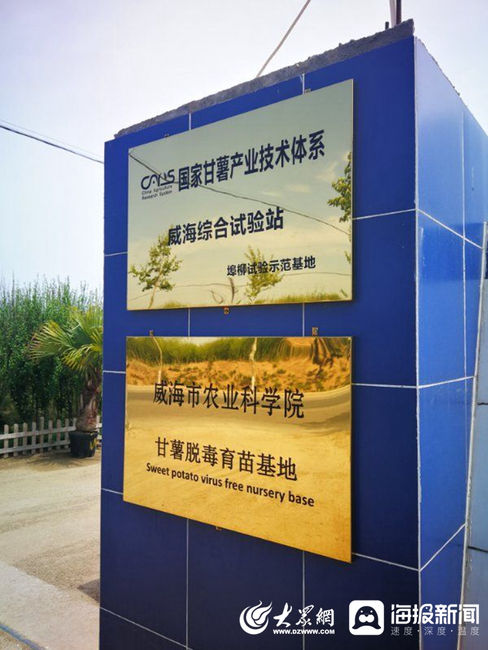 信息化赋能扶贫攻坚，激活乡村振兴新引擎